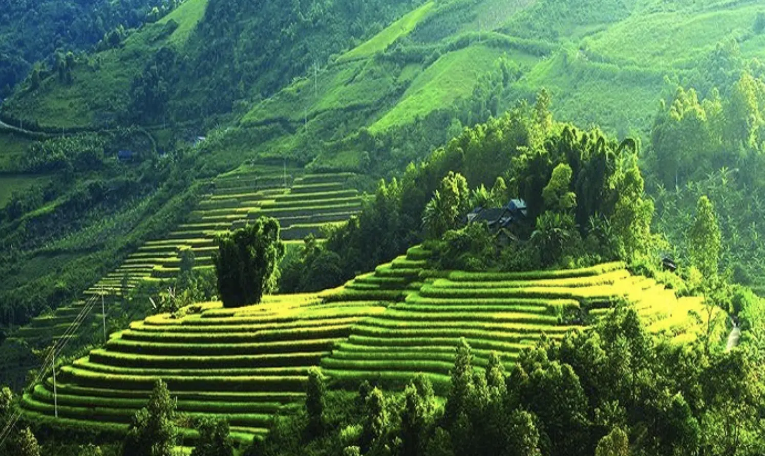 Đài PTTH Hà Nội